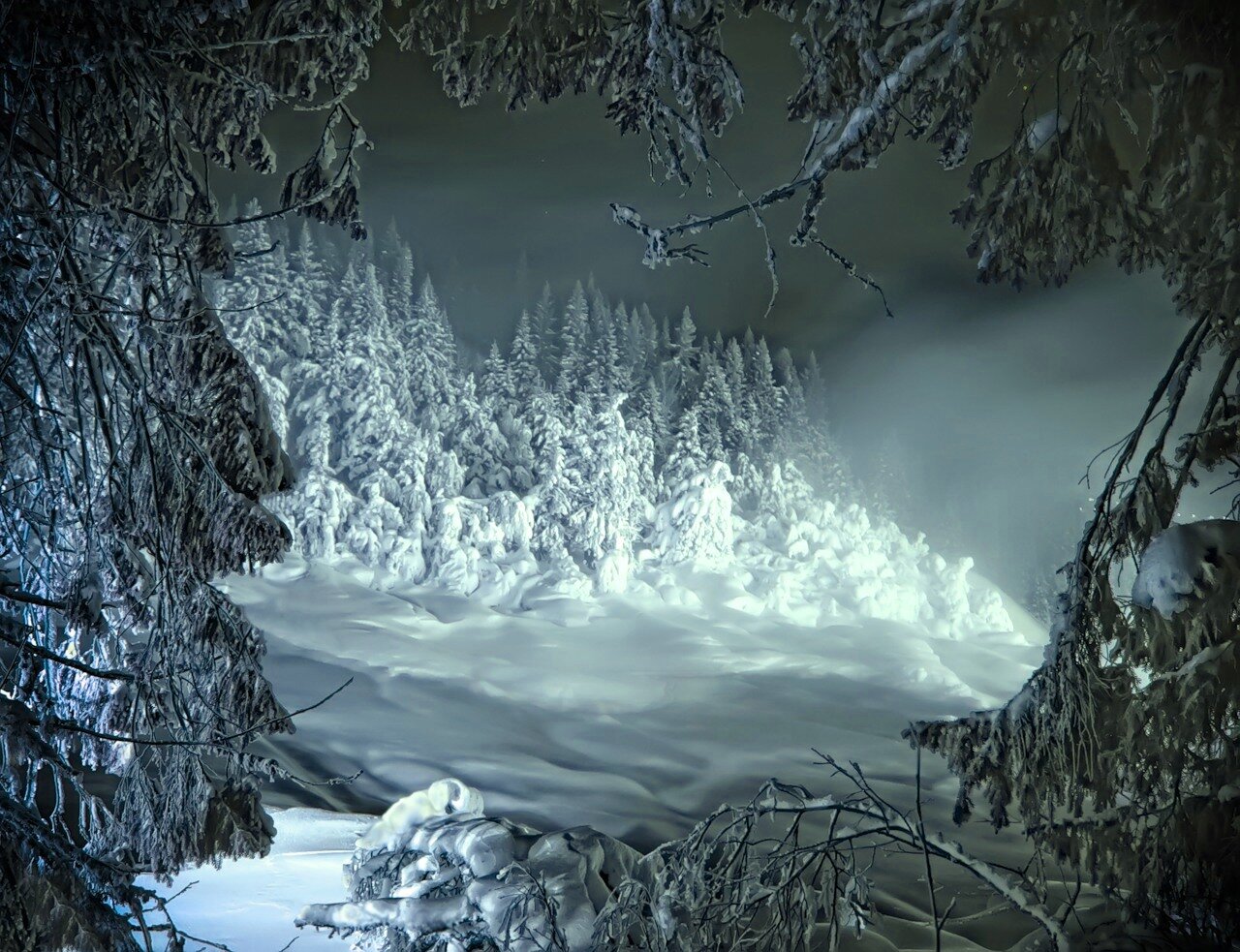 Фф и в морозном лесу навеки останусь. Сказочный зимний лес. Сказочный лес зимой. Дремучий зимний лес. Страшный зимний лес.
