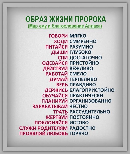 Картинки из жизни сподвижниц
