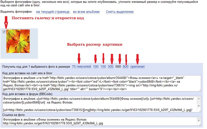 Взять код с картинки